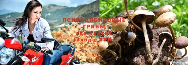кокс Арсеньев