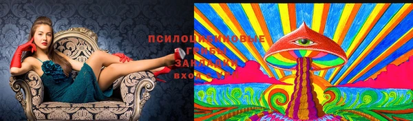 кокс Арсеньев