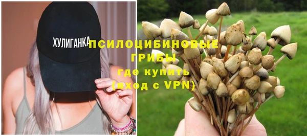 кокс Арсеньев